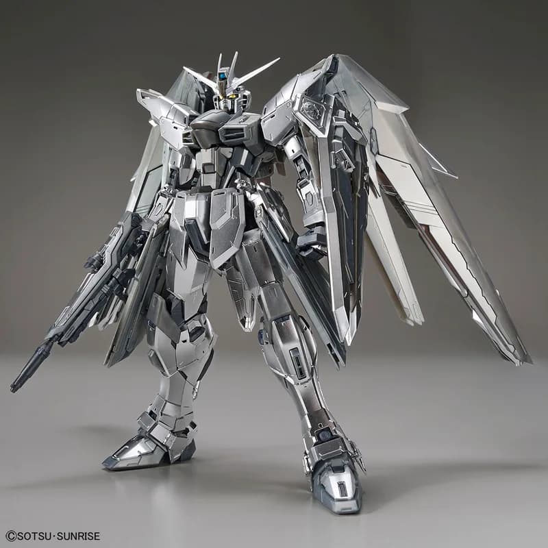 ZGMF-X10A Freedom Gundam (Ver. 2.0) (Silver Coating)